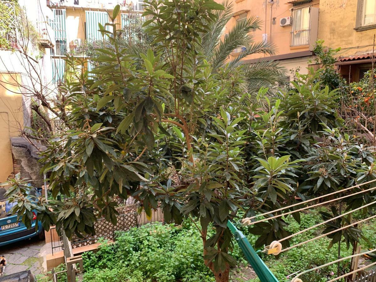 Da Ninetta Resterete Senza Parole, Garantito! 那不勒斯 外观 照片